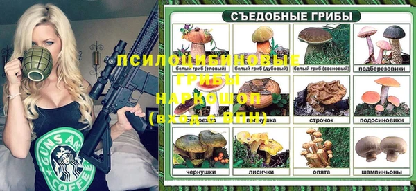 мяу мяу мука Новодвинск