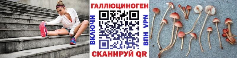 Псилоцибиновые грибы Magic Shrooms  Россошь 